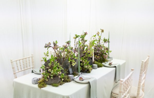 final_DSCF6413_Marginpar_Josep